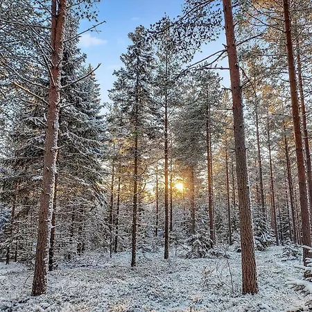 Paeivaerinne By Interhome Makisauru