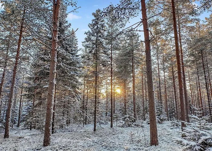 Paeivaerinne By Interhome Makisauru